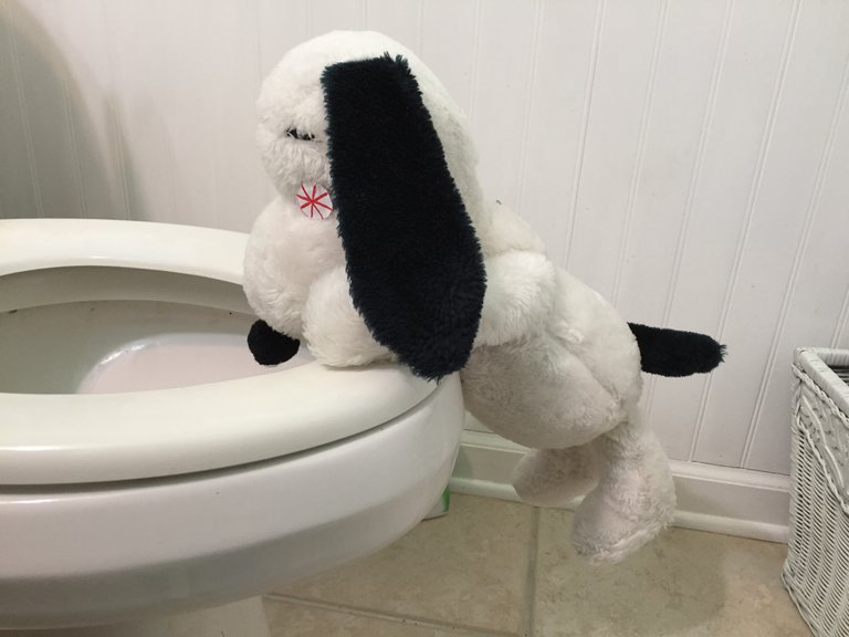 Hung Over Snoopy.JPG