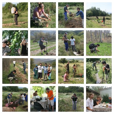 Polyculture Project Team 2018 Collage.jpg