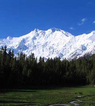 Fairy-Meadows-Nanga-Parbat1.jpg