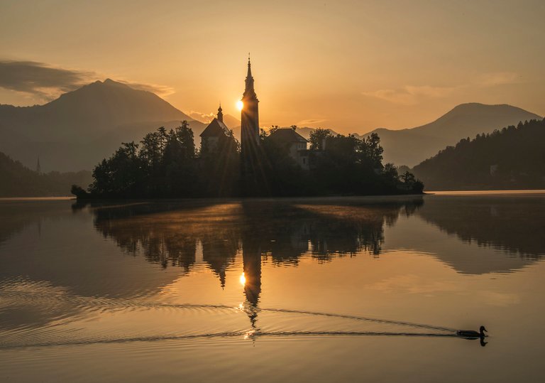 Mystic_sunrise_at_lake_bled_with_duck_2013.jpg