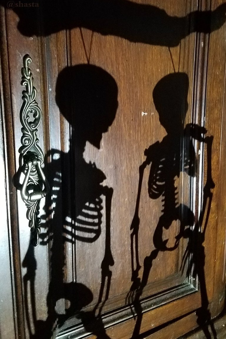 shasta2018oct31st47skeletons2io.jpg