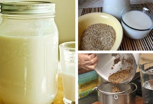 canary-seed-milk-production.jpg