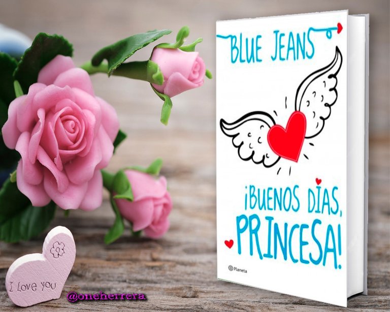 recomendacion libro buenos dias princesa.jpg