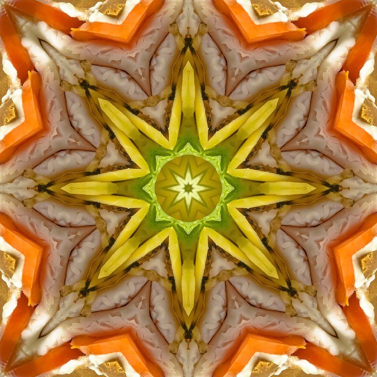 Orange Palm StudioWeb_Res_2.jpg