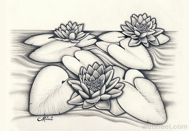 8-pencil-drawings-of-flowers.jpg