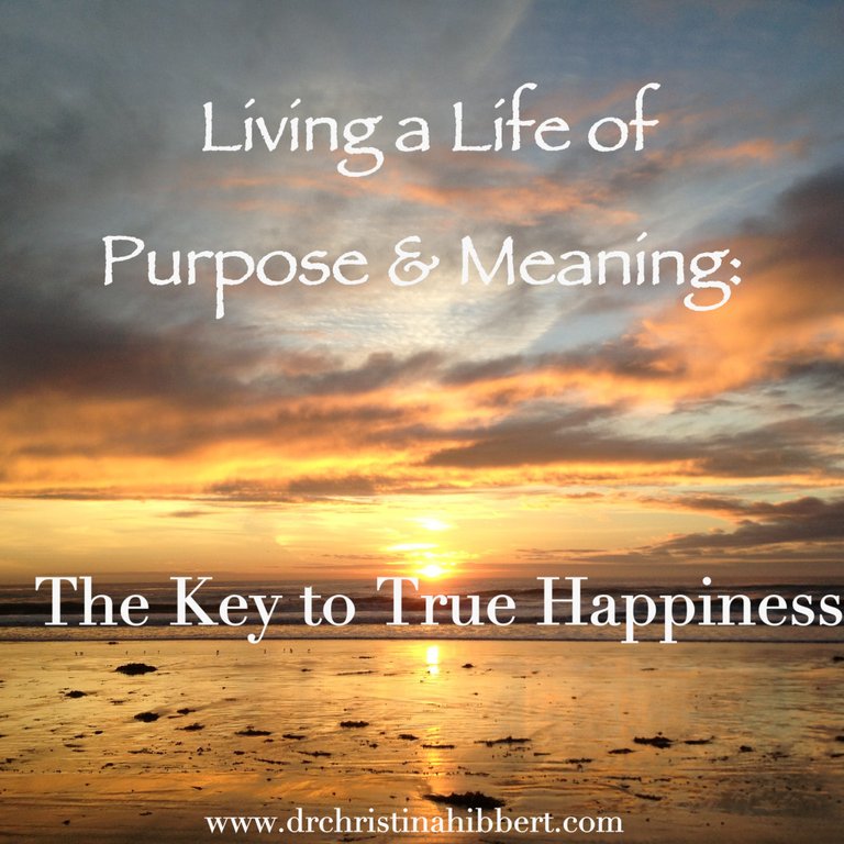 Living-a-Life-of-Purpose-Meaning-The-Key-To-True-Happiness-www.drchristinahibbert.com_.jpg