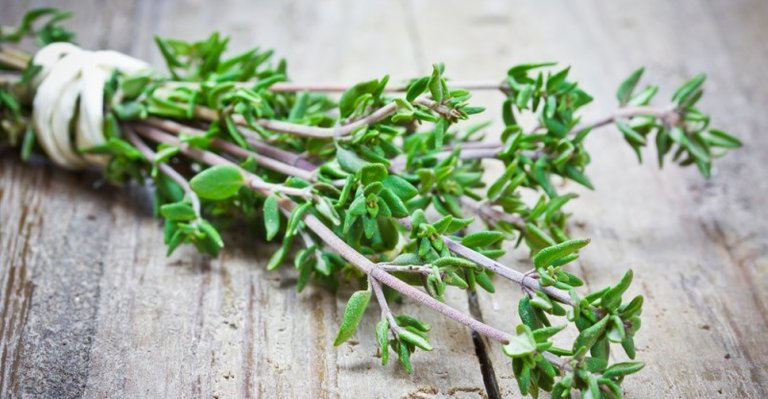 thyme.jpg