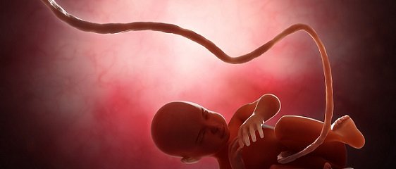 too-long-umbilical-cord.jpg