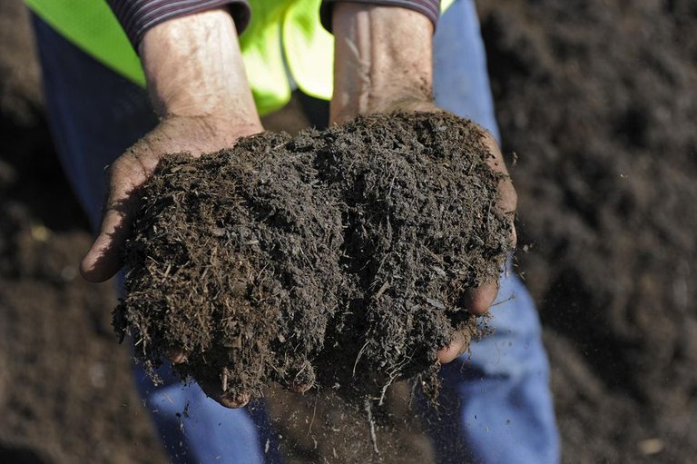 Compost and Top Soil.jpg