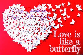 love butterfly.jpg