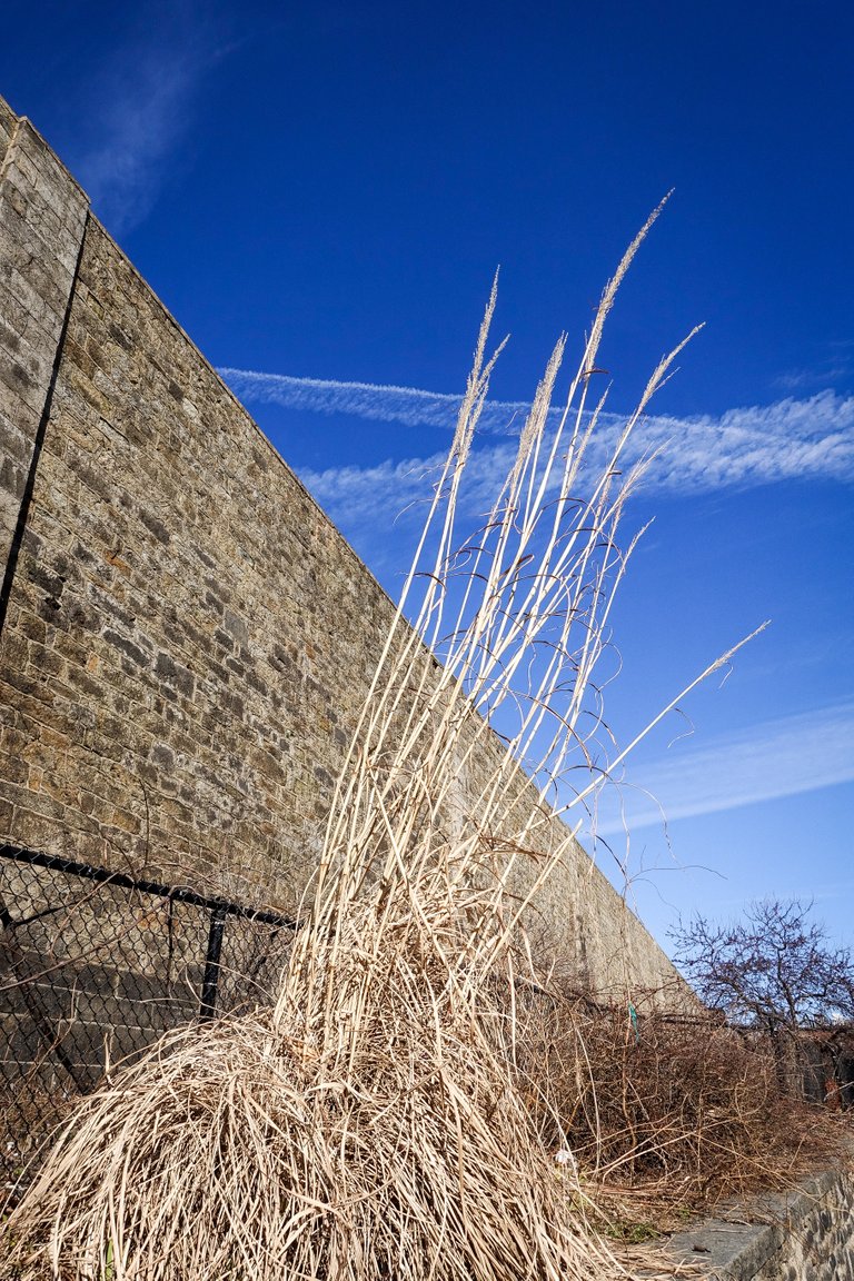 Eastern_State_Penitentiary-Philly-PA-02-17-2019-4.jpg