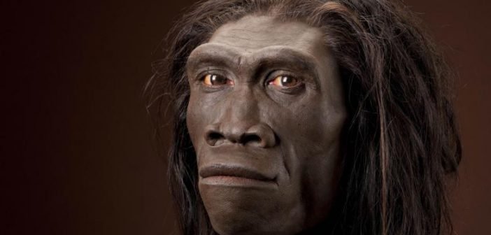 Homo-erectus-702x336.jpg