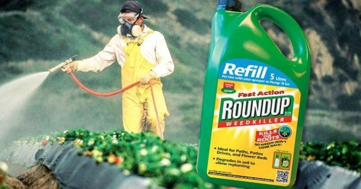 roundup-spraying-refill.jpg