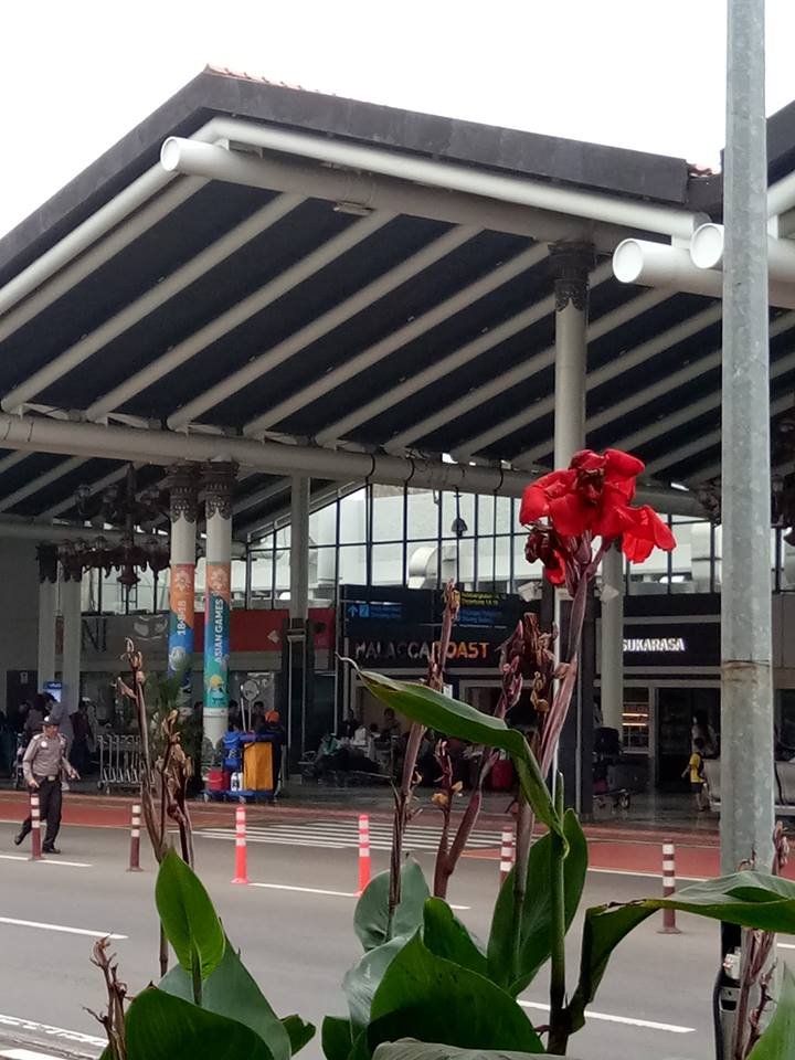 gambar BANDARA CENGKARENG.jpg