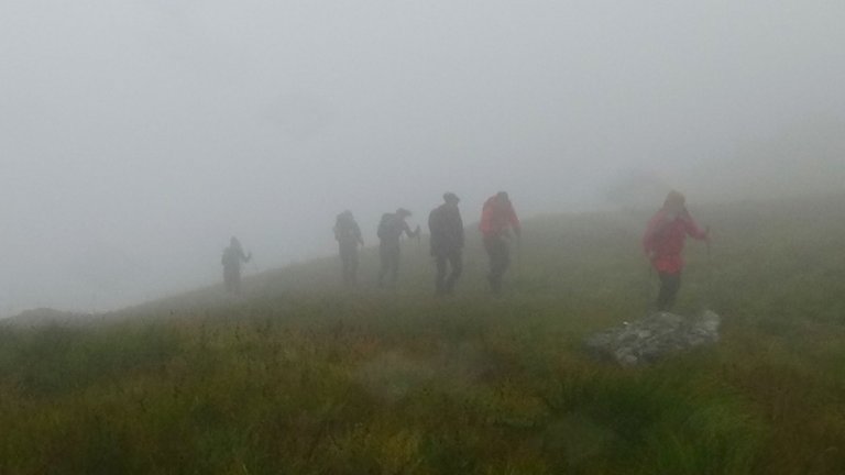 5 Walking through the mist.jpg