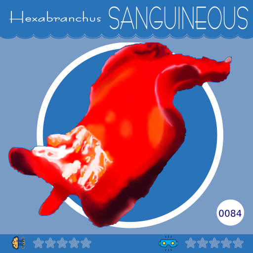 0084-HexabranchusSanguineus.png