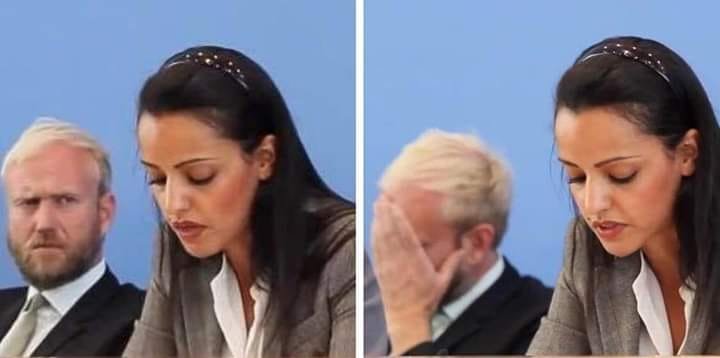 sawsan chebli facepalm.jpg