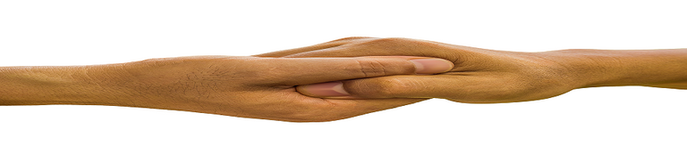 hands-1926704_960_720.png