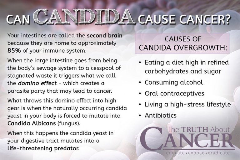 Candida-yeast-overgrowth-cancer.jpg