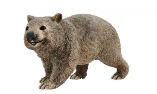 14834 Wombat.jpg