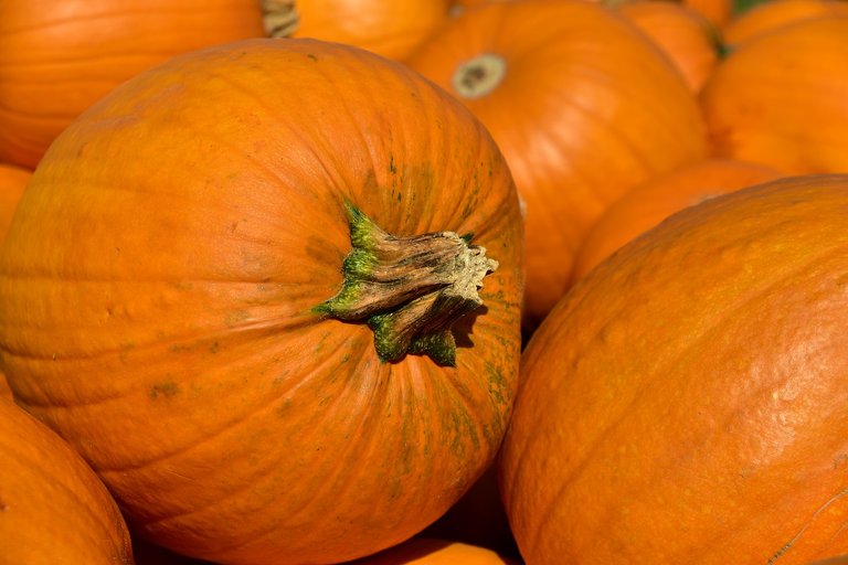 pumpkin-3636243_1280.jpg