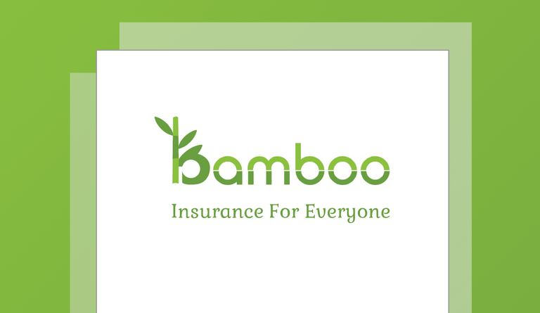 BAMBOO-Medicinskoe-strahovanie-dostupnoe-kazhdomu-Obzor-ICO.png