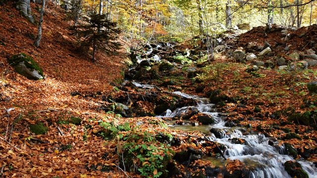 Рила планина откри чудни красоти пред мен.jpg