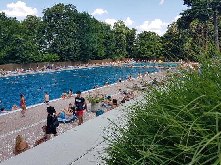 pool schönbrunn gras.jpg