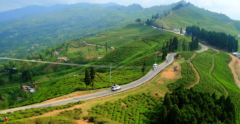 tea-tour-in-nepal.png