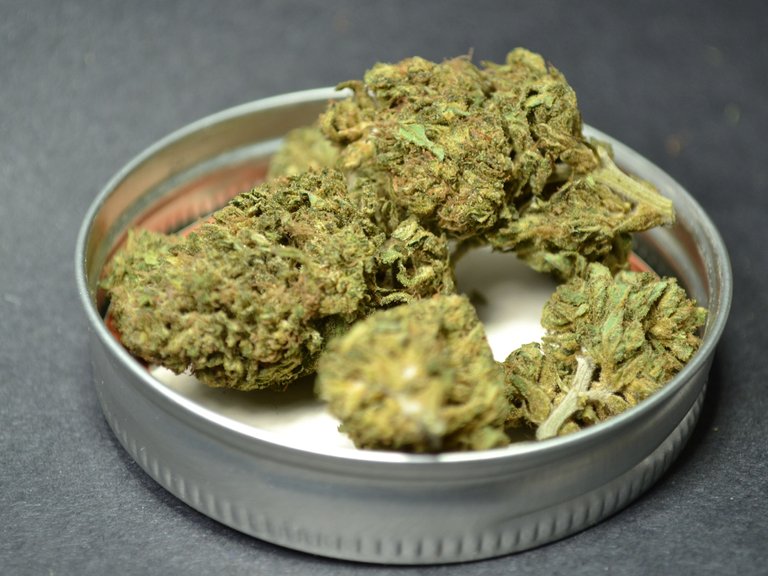 tweedle-farms-remedy-cbd-flower-02-closeup.jpg