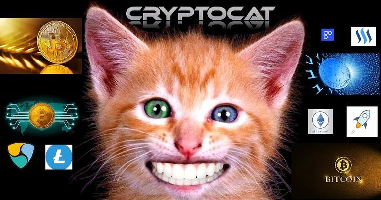 5ABitcoin Cat.jpg