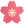 flor-de-cerezo.png