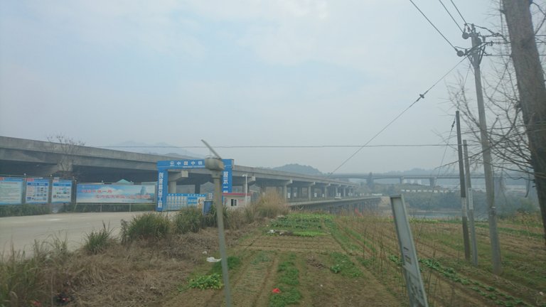 garden under overpass.JPG