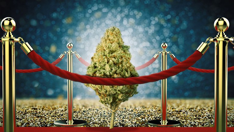 hollyweed-celebrities-cannabis.jpg