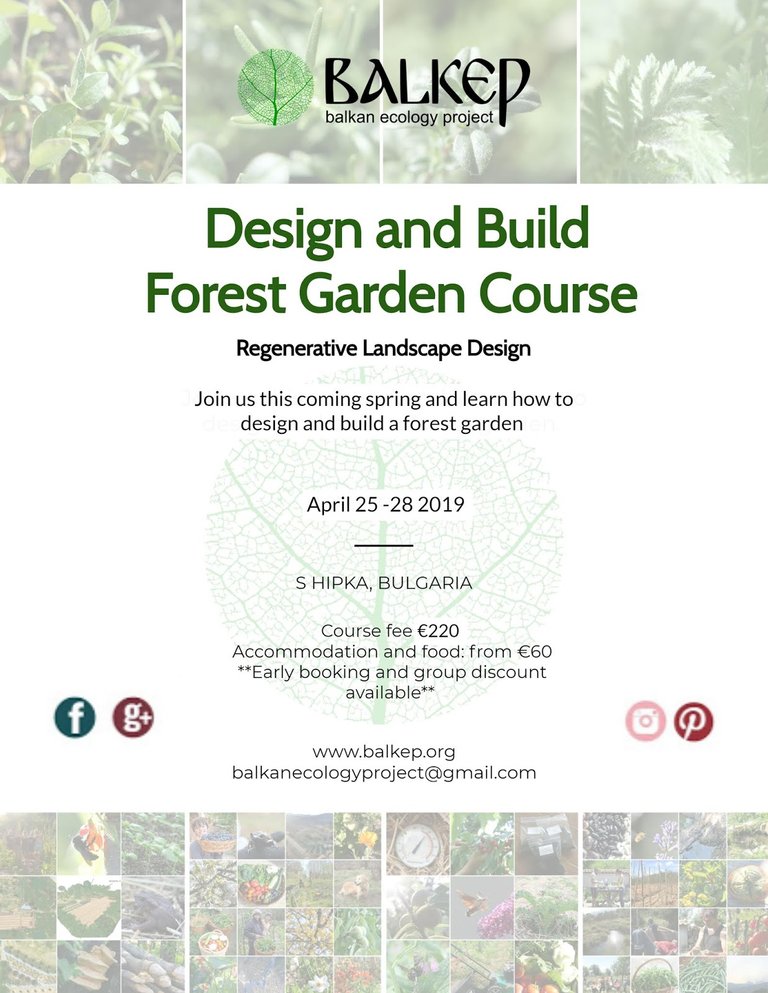 Design and Build - Forest garden Course (1).jpg