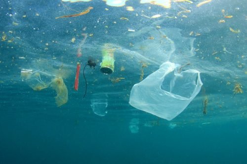 garbageocean-500x333.jpg