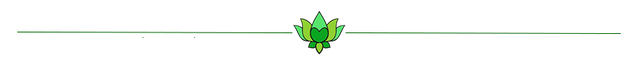 Lotus divider.png