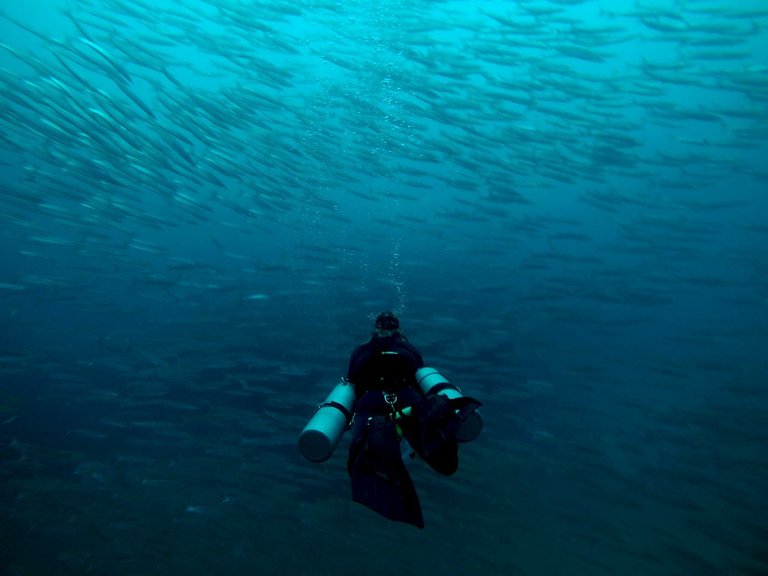 Yann-Sidemount-barracuda.jpg