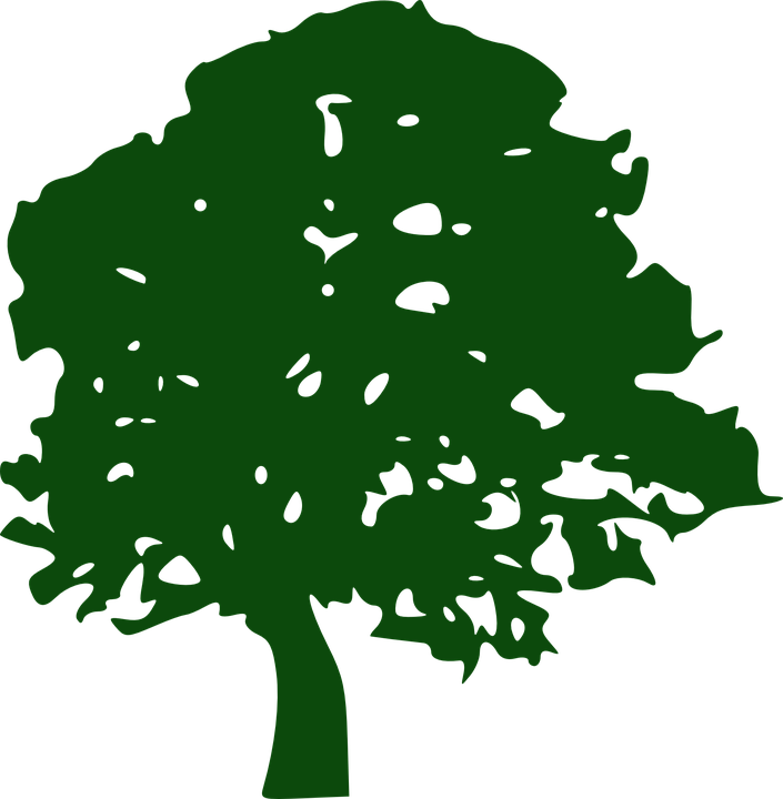 oak-tree-297441_960_720.png