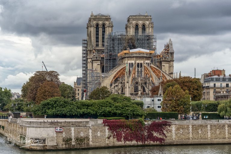 notre_dame_after.jpg