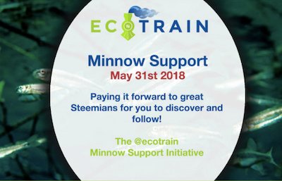 minnow support ecotrain.jpg