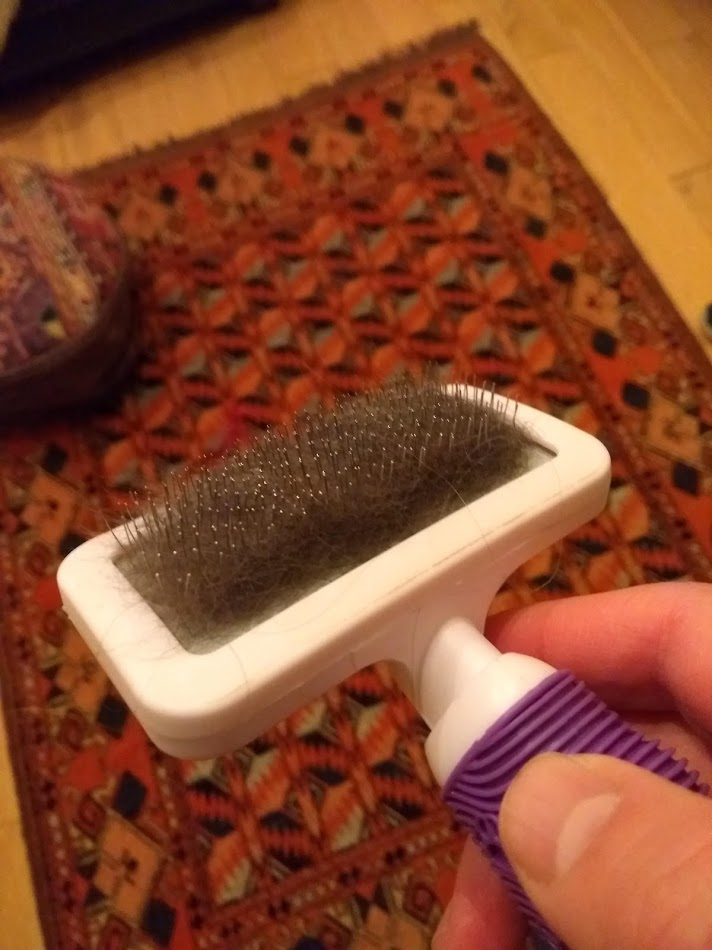 Brush