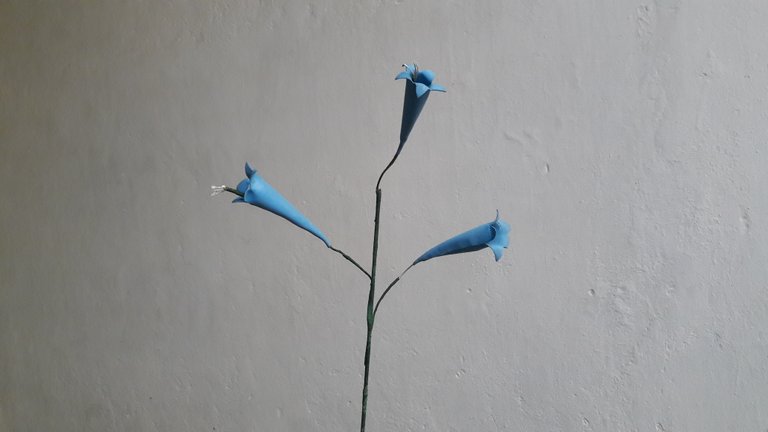 20180705_171048.jpg