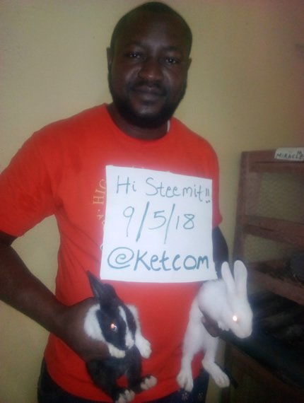 ketcom-and-rabbits-welcome-to-steemit.jpg