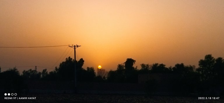IMG_20220518_184745.jpg