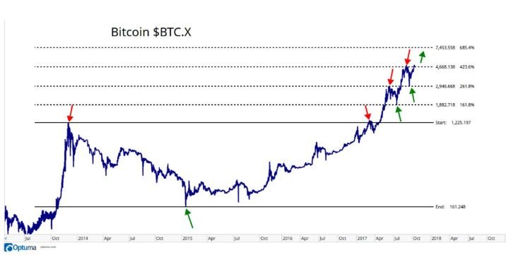 bitcoin chart year.JPG
