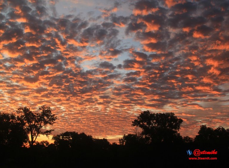 dawn morning sunrise skyscape golden-hour landscape IMG_0214.JPG