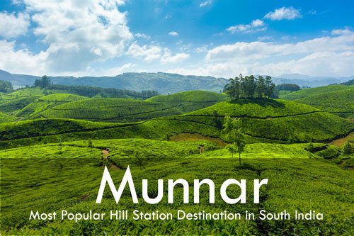 munnar-hillstation-places-to-visit-in-kerala.jpg