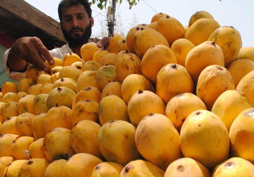 Pakistan-Mango_500x350.jpg