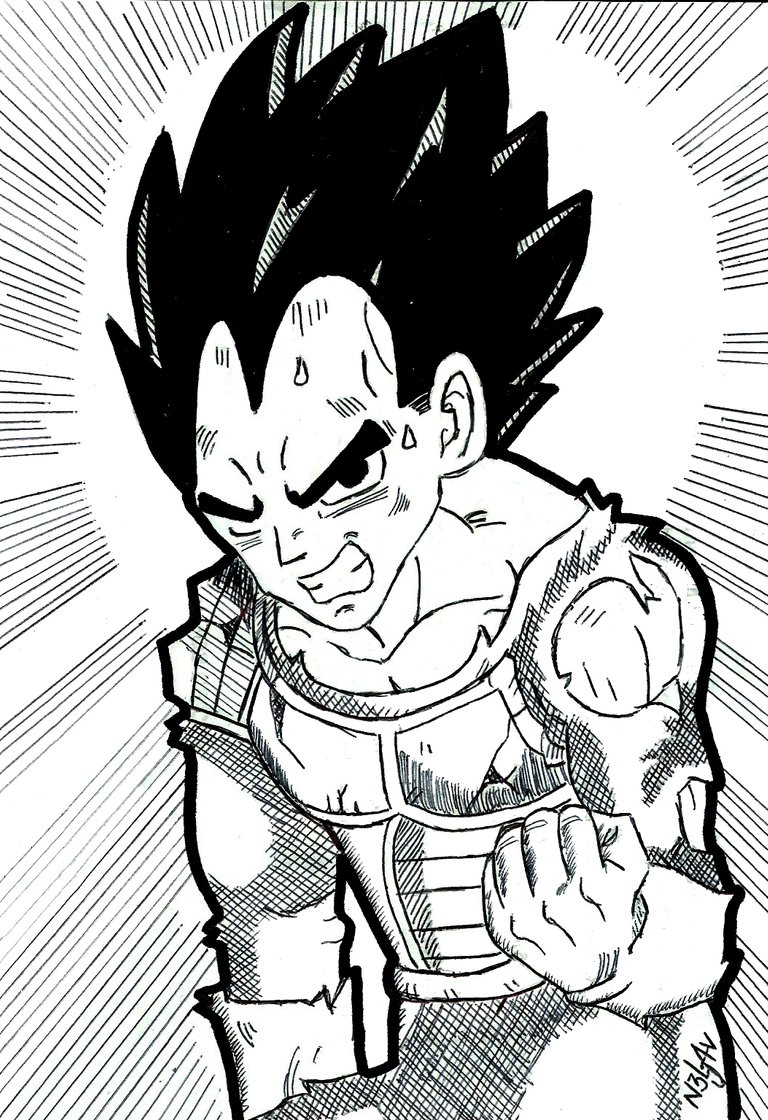 vegeta1.jpg